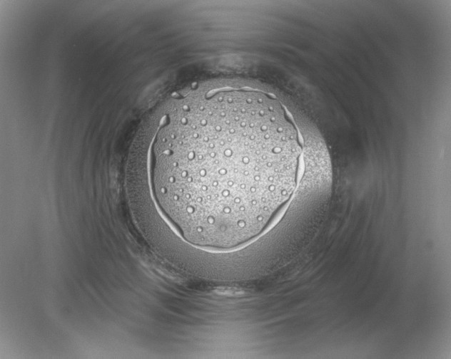 X0000081600749200701291401