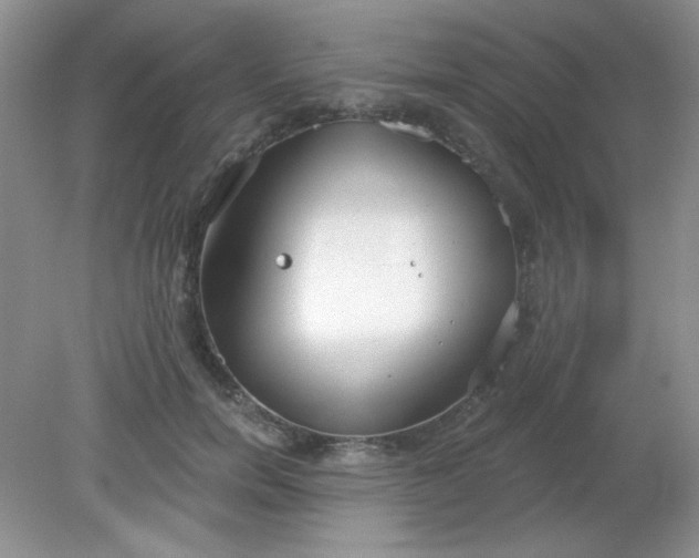 X0000081600750200701291401