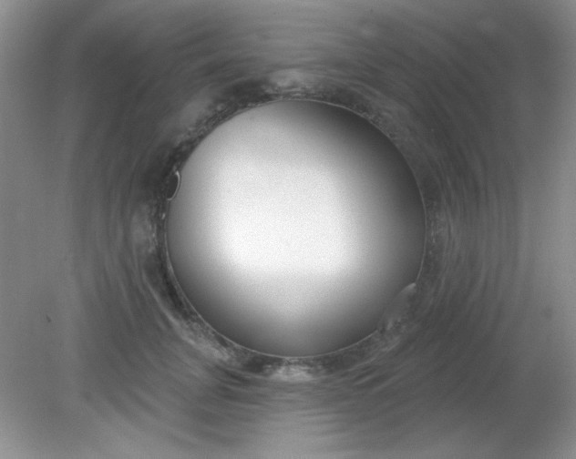 X0000081600751200701291401