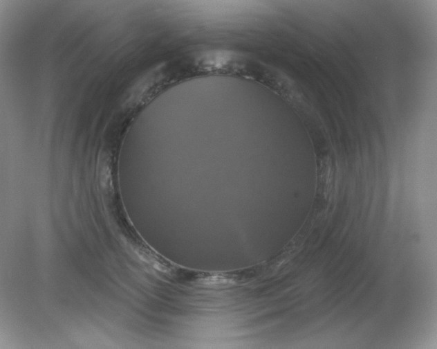 X0000081600754200701291401