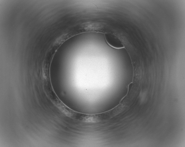 X0000081600755200701291401