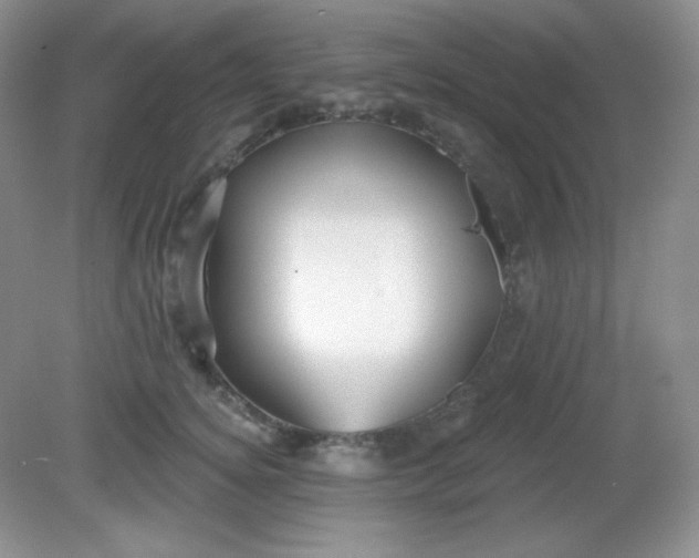 X0000081600756200701291401