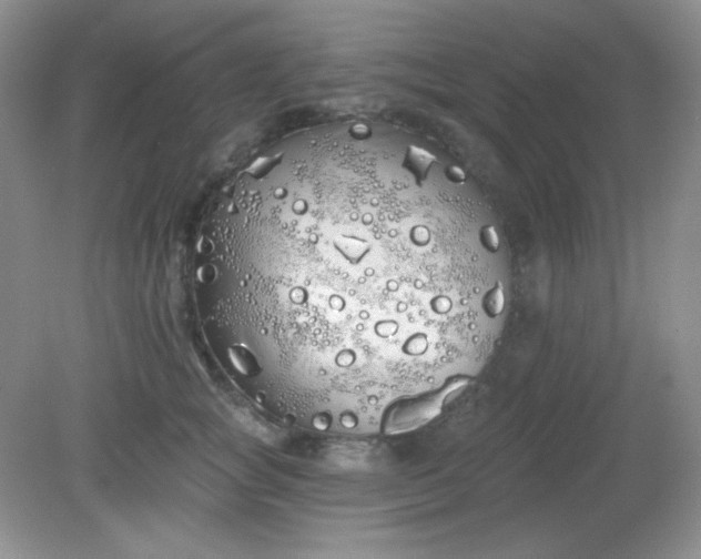 X0000081600757200701291401