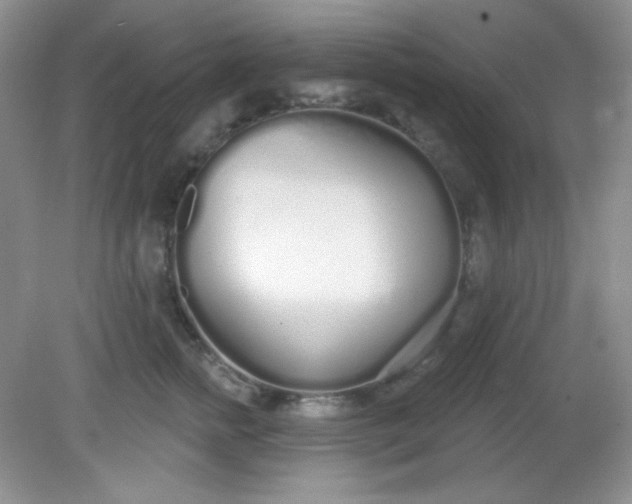 X0000081600758200701291401