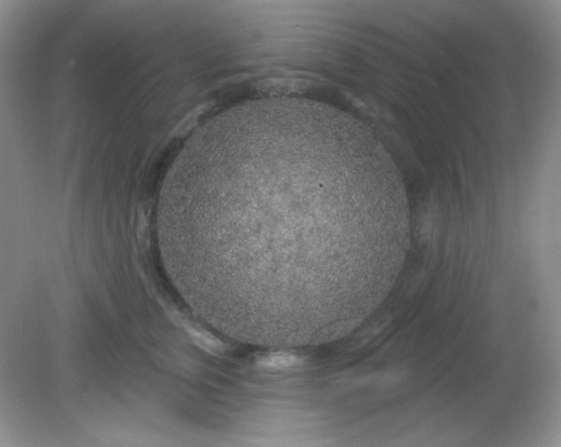 X0000081600759200701291401