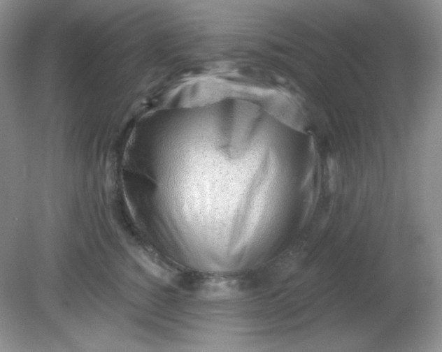 X0000081600760200701291401