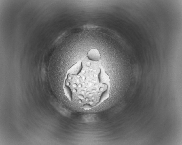 X0000081600761200701291401