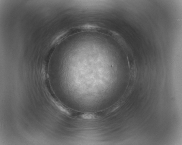 X0000081600762200701291401