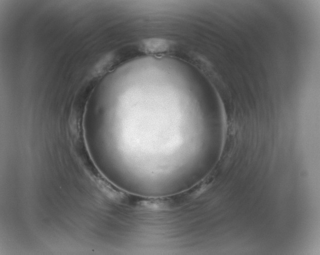 X0000081600763200701291401