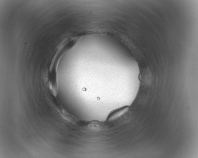 X0000081600764200701291401