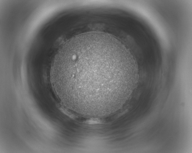 X0000081600765200701291401