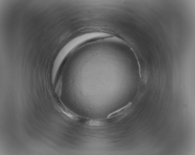 X0000081600766200701291401