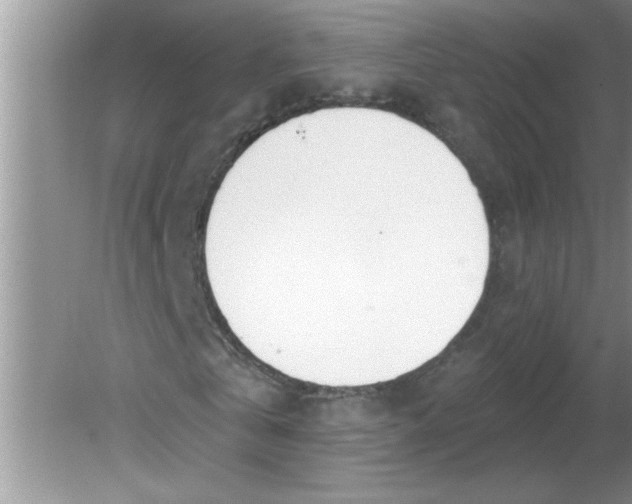 X0000081600769200701291400