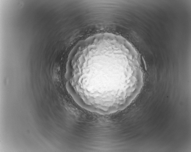 X0000081600770200701291400