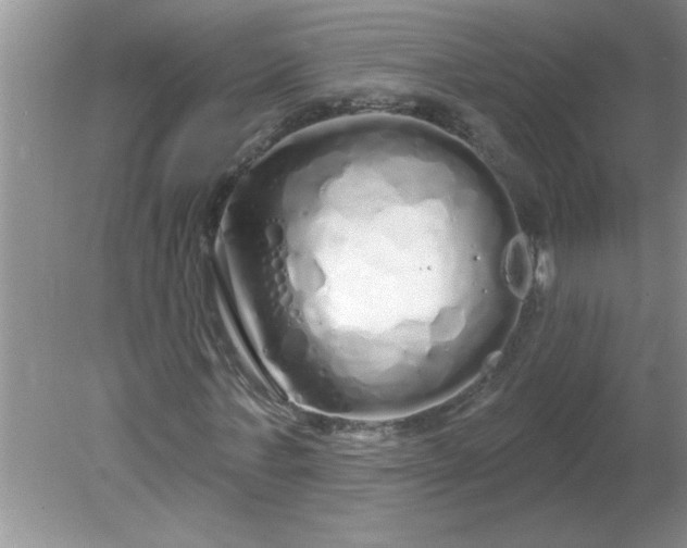 X0000081600771200701291400