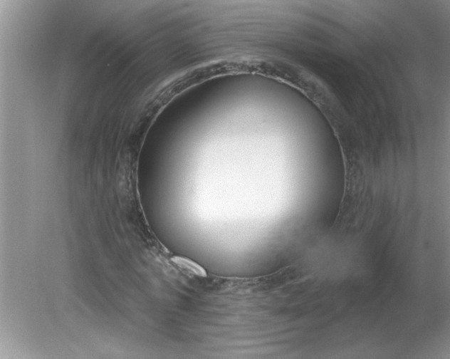 X0000081600773200701291400