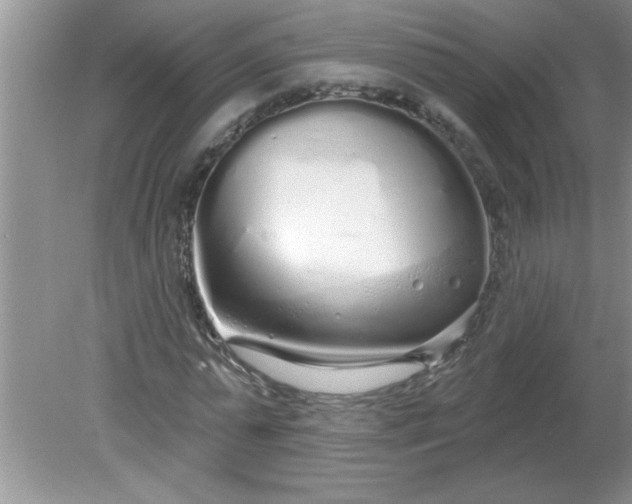 X0000081600775200701291400