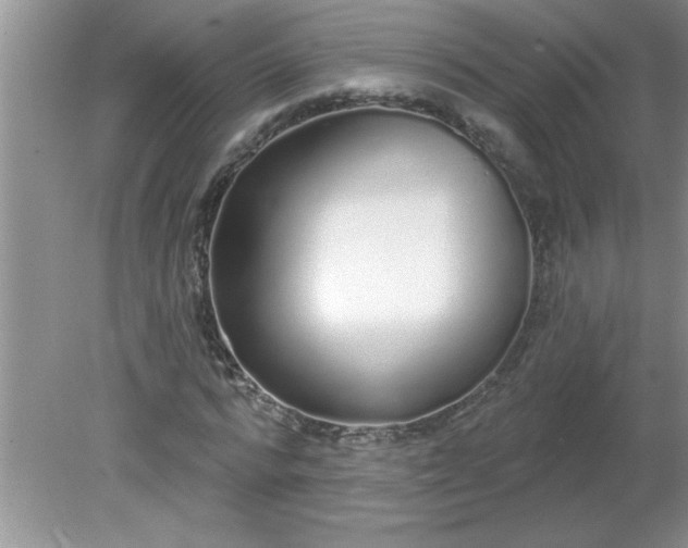 X0000081600776200701291400