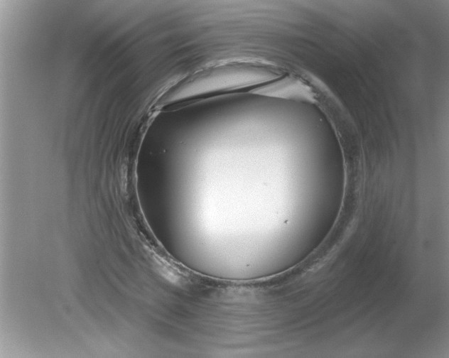 X0000081600777200701291400