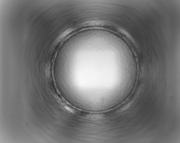 X0000081600778200701291400