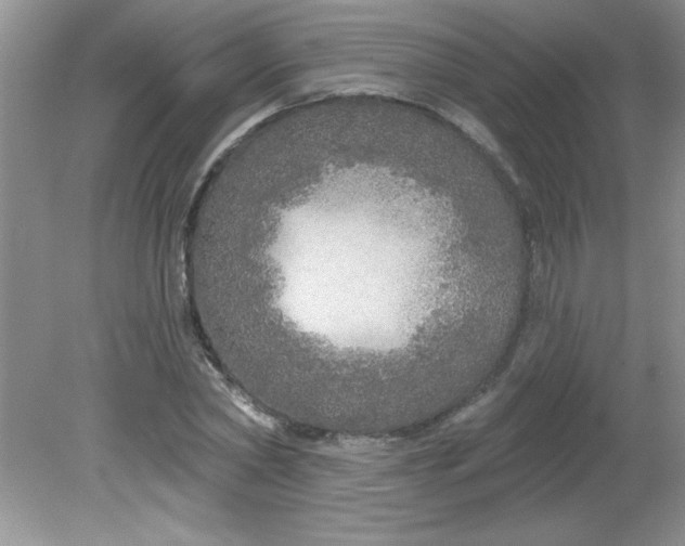 X0000081600782200701291400