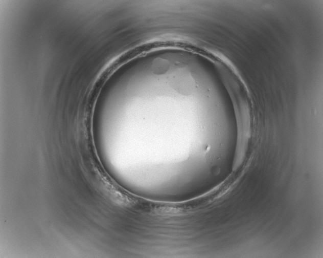 X0000081600783200701291400