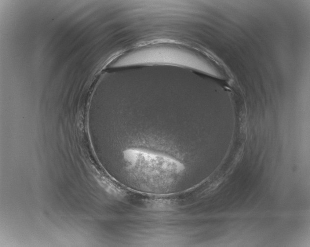 X0000081600785200701291400