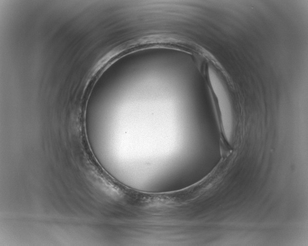 X0000081600786200701291400