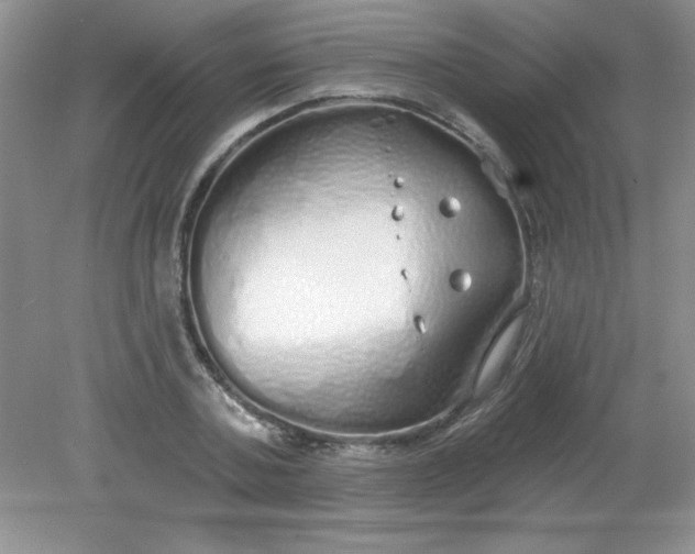 X0000081600787200701291400