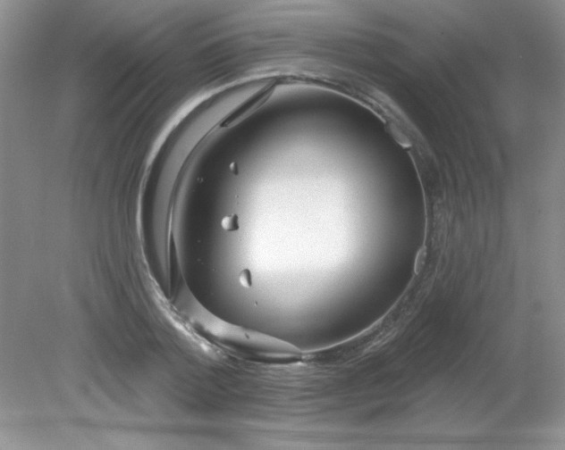 X0000081600788200701291400