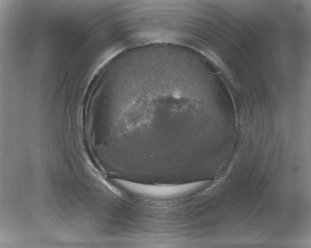 X0000081600790200701291400