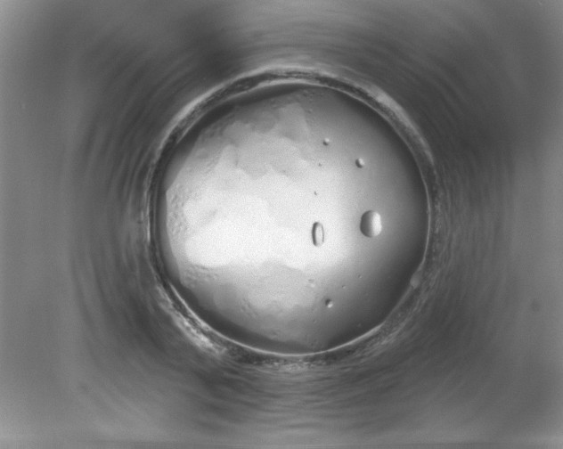 X0000081600791200701291400