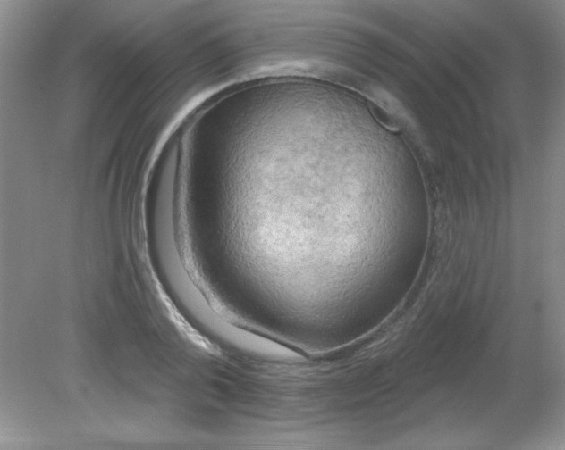 X0000081600792200701291400