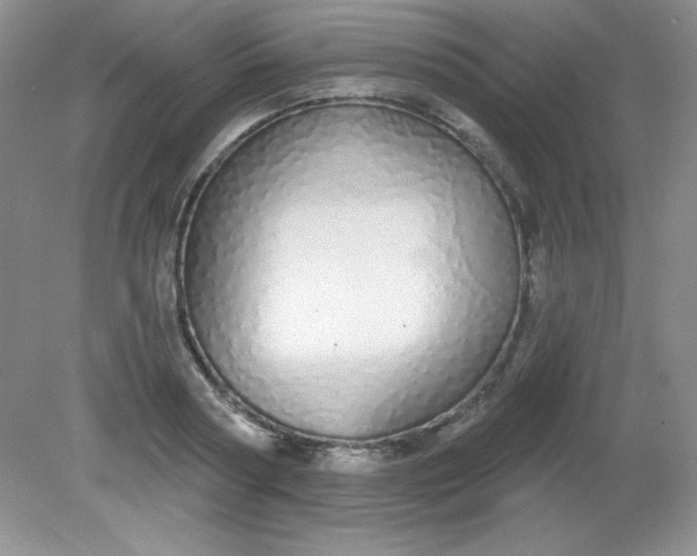 X0000081600794200701291400