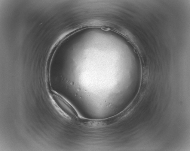 X0000081600795200701291400