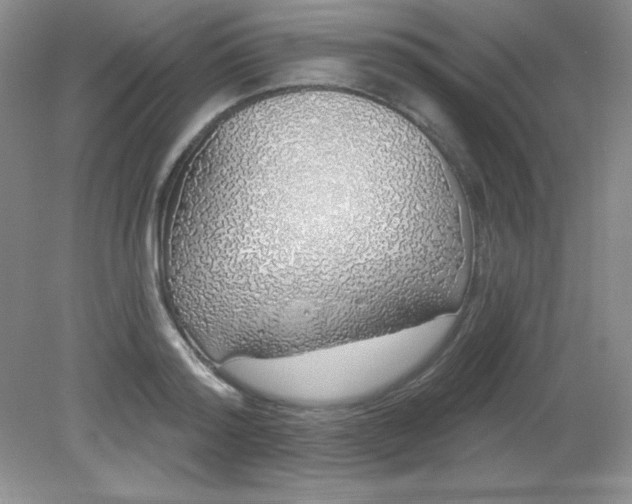 X0000081600796200701291400