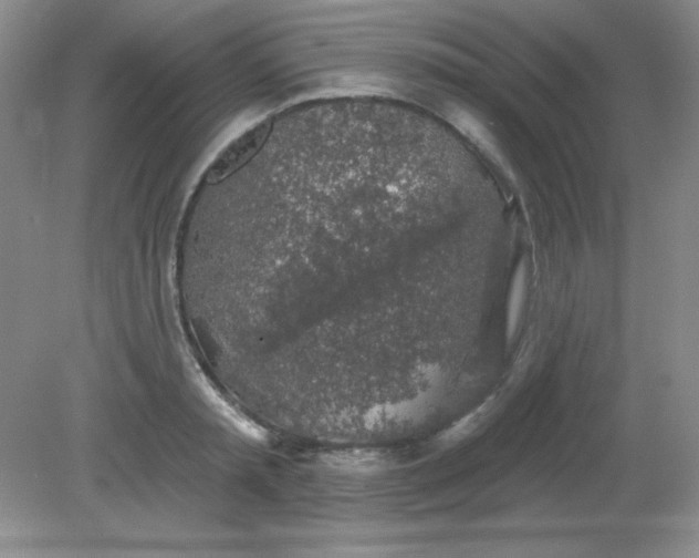 X0000081600797200701291400