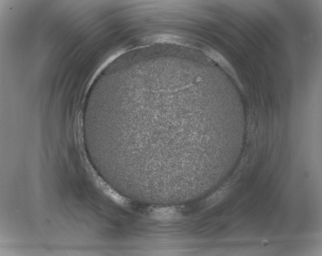 X0000081600798200701291400