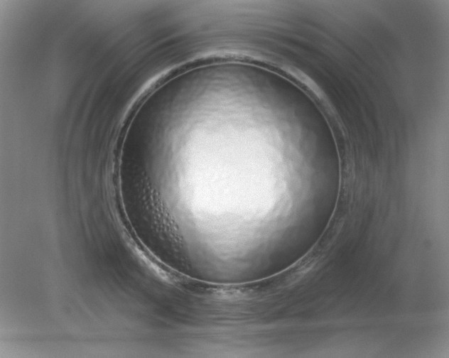 X0000081600799200701291400