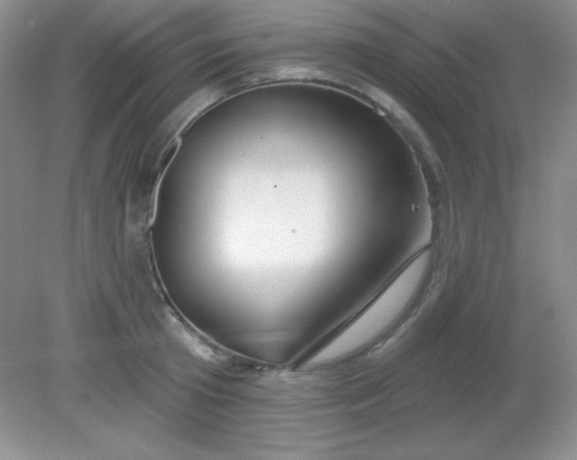 X0000081600801200701291400