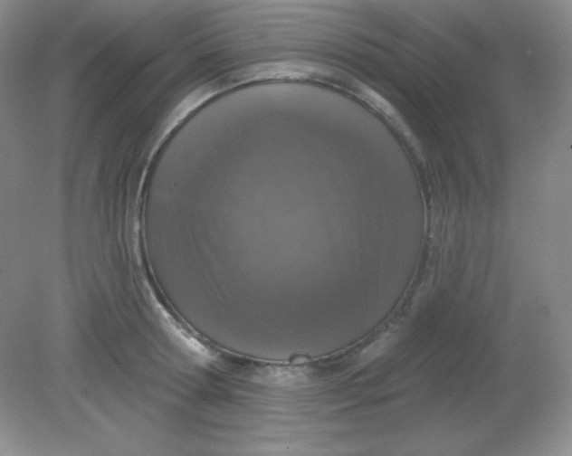 X0000081600802200701291400