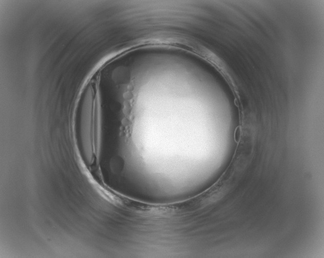 X0000081600803200701291400