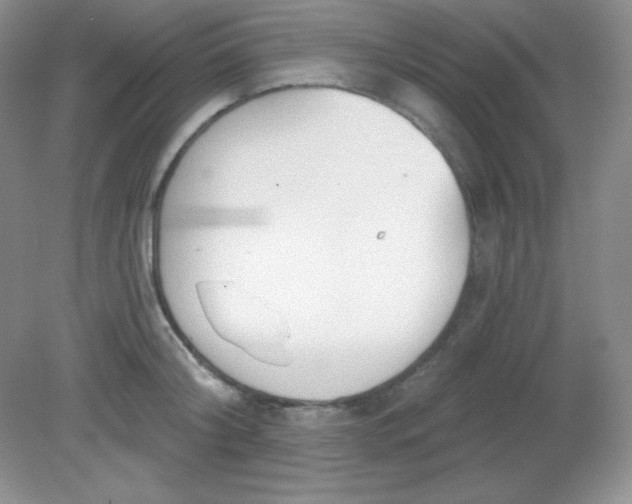 X0000081600804200701291400