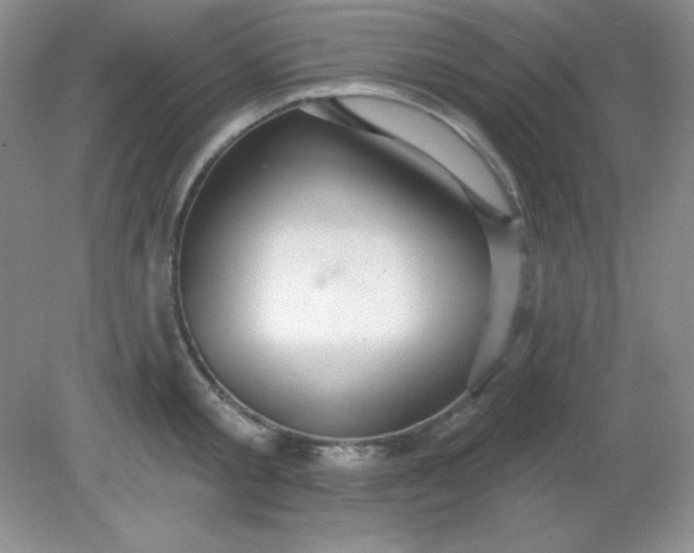 X0000081600805200701291400