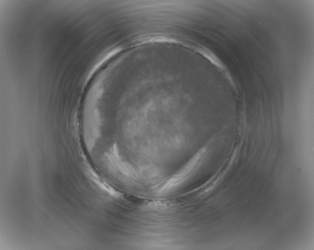 X0000081600806200701291400