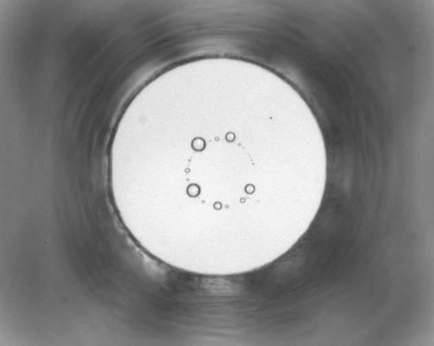 X0000081600807200701291400