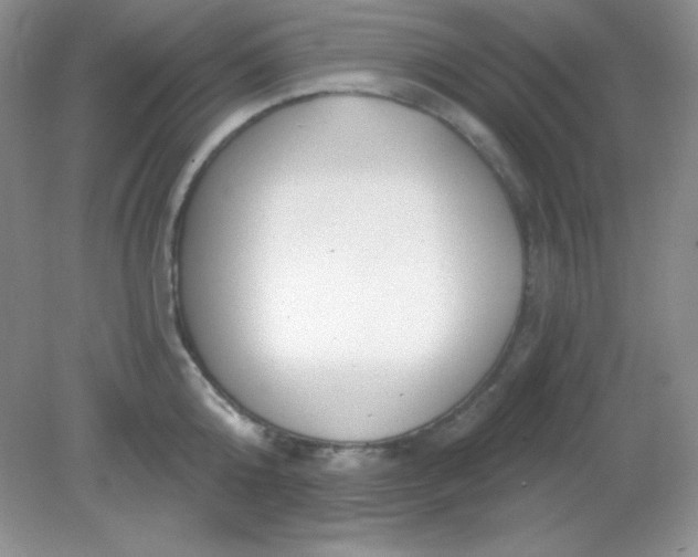 X0000081600808200701291400