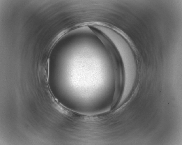 X0000081600809200701291400