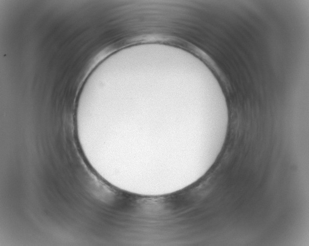 X0000081600810200701291400