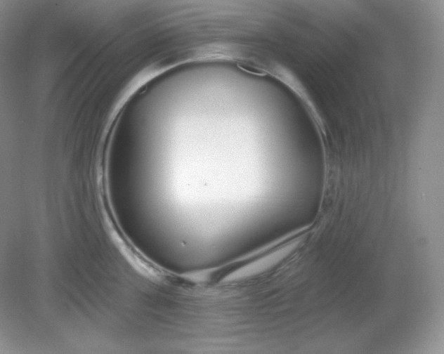 X0000081600811200701291400